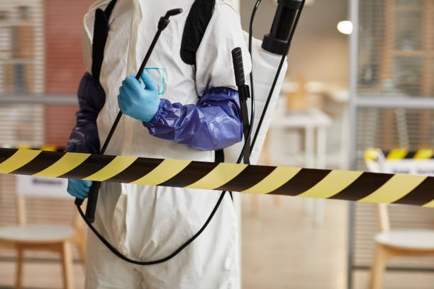 Professional Crime Scene Cleanup technician working in Cache Junction, UT